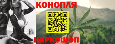 крисы Будённовск