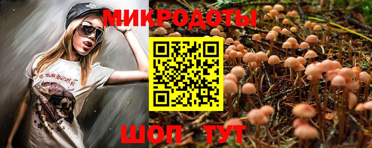 Псилоцибиновые грибы Psilocybe Усть-Джегута