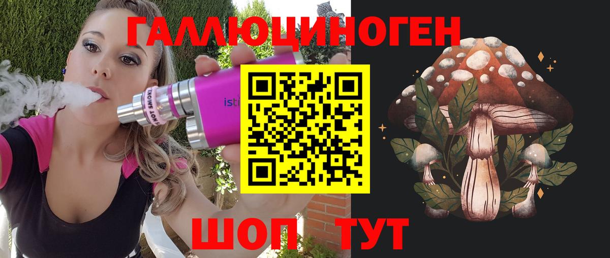 закладки  Псилоцибиновые грибы ЛСД  Вход с VPN  Усть-Джегута 